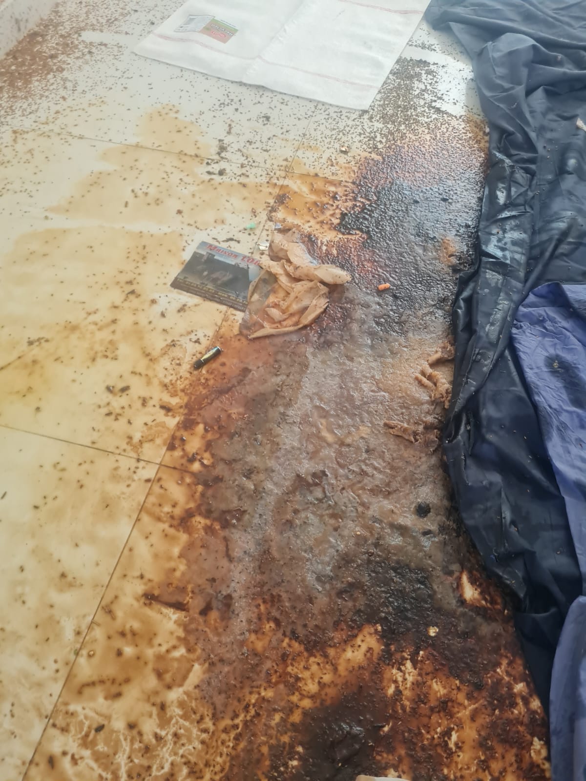 Que faire si les mauvaises odeurs semblent venir de la ventilation ou de la VMC ? SOS DC à Courbevoie et dans les villes environnantes WhatsApp Image 2025 04 18 A 17.15.45 1a9338eb