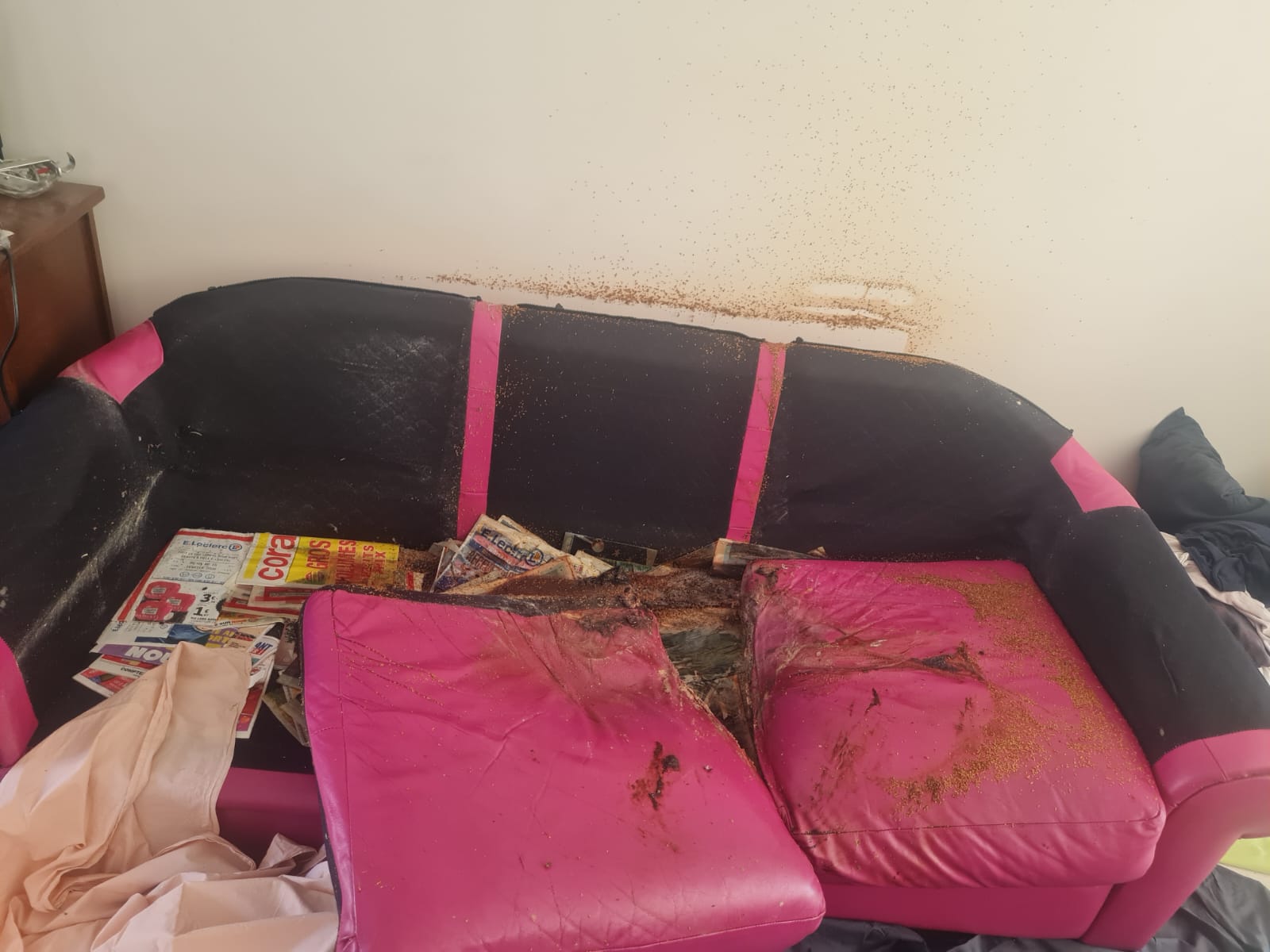Comment trier efficacement quand tout l’appartement est rempli jusqu’au plafond : le rôle de SOS DC à Courbevoie et dans les environs WhatsApp Image 2025 04 18 A 17.15.46 7c03292f