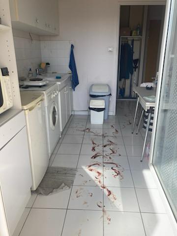 Peut-on diviser le chantier en plusieurs phases pour soulager la famille et l’équipe ? L’expérience de SOS DC à Courbevoie et dans les environs WhatsApp Image 2025 10 13 At 19.34.58