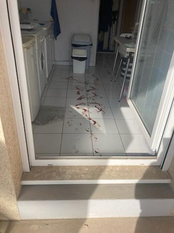 Comment présenter des photos avant/après sans choquer les futurs clients à Courbevoie et ses environs WhatsApp Image 2025 10 13 At 19.35.08